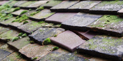 Marston Trussell roof repair costs
